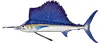 Sailfish — targeted on live bait Big Fish trips