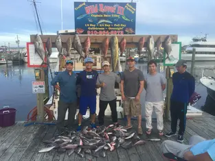 2017 Carolina Beach Fishing Photo - Wild Rover III