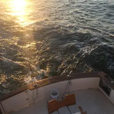 2017 Carolina Beach Fishing Photo - Wild Rover III