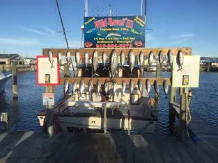 2017 Carolina Beach Fishing Photo - Wild Rover III