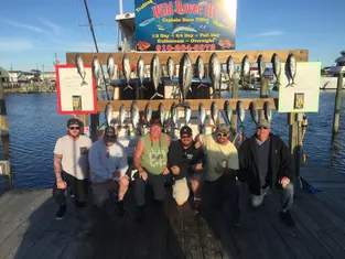 2017 Carolina Beach Fishing Photo - Wild Rover III