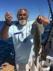 2017 Carolina Beach Fishing Photo - Wild Rover III