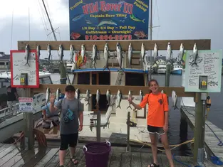2017 Carolina Beach Fishing Photo - Wild Rover III