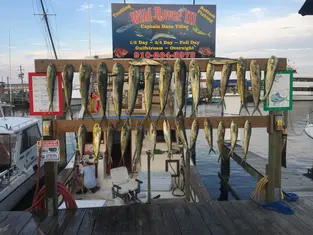 2017 Carolina Beach Fishing Photo - Wild Rover III