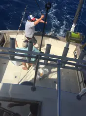 2017 Carolina Beach Fishing Photo - Wild Rover III