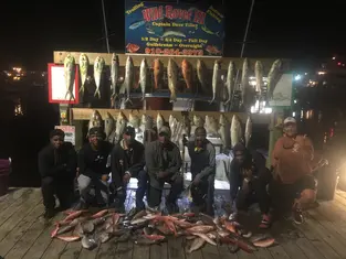 2017 Carolina Beach Fishing Photo - Wild Rover III