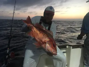 2017 Carolina Beach Fishing Photo - Wild Rover III