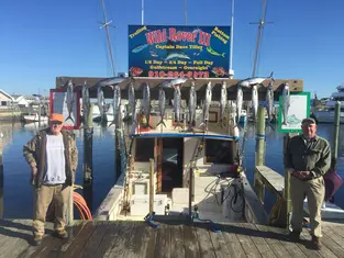 2017 Carolina Beach Fishing Photo - Wild Rover III