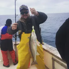 2018 Carolina Beach Fishing Photo - Wild Rover III