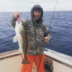 2018 Carolina Beach Fishing Photo - Wild Rover III