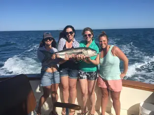 2018 Carolina Beach Fishing Photo - Wild Rover III