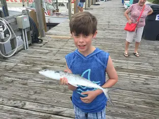 2018 Carolina Beach Fishing Photo - Wild Rover III