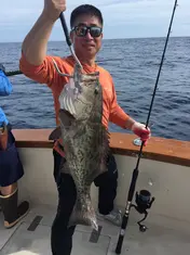 2018 Carolina Beach Fishing Photo - Wild Rover III