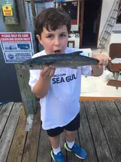 2018 Carolina Beach Fishing Photo - Wild Rover III