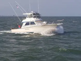 2018 Carolina Beach Fishing Photo - Wild Rover III
