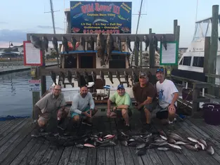 2018 Carolina Beach Fishing Photo - Wild Rover III