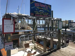2019 Carolina Beach Fishing Photo - Wild Rover III