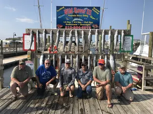 2019 Carolina Beach Fishing Photo - Wild Rover III