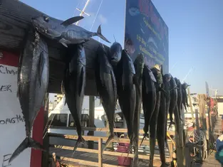 2019 Carolina Beach Fishing Photo - Wild Rover III