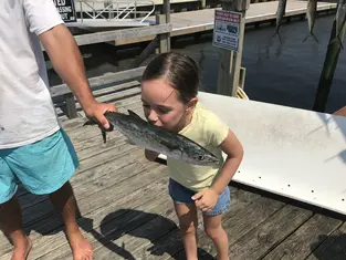 2019 Carolina Beach Fishing Photo - Wild Rover III