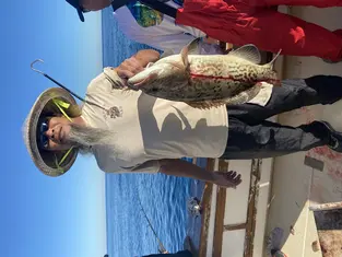 2021 Carolina Beach Fishing Photo - Wild Rover III