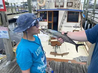 2021 Carolina Beach Fishing Photo - Wild Rover III