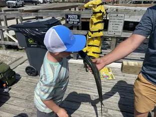 2021 Carolina Beach Fishing Photo - Wild Rover III