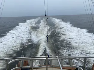 2021 Carolina Beach Fishing Photo - Wild Rover III