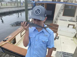 2021 Carolina Beach Fishing Photo - Wild Rover III