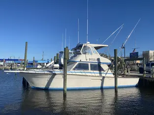 2022 Carolina Beach Fishing Photo - Wild Rover III