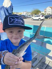 2022 Carolina Beach Fishing Photo - Wild Rover III