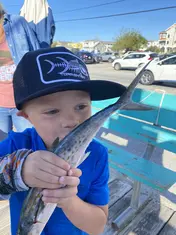 2022 Carolina Beach Fishing Photo - Wild Rover III