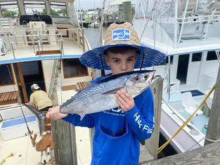 2022 Carolina Beach Fishing Photo - Wild Rover III