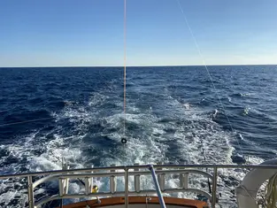 2022 Carolina Beach Fishing Photo - Wild Rover III