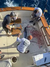 2022 Carolina Beach Fishing Photo - Wild Rover III