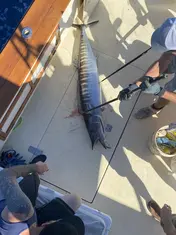 2022 Carolina Beach Fishing Photo - Wild Rover III