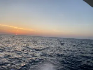 2023 Carolina Beach Fishing Photo - Wild Rover III