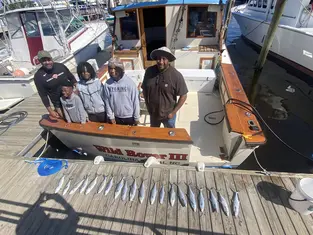 2023 Carolina Beach Fishing Photo - Wild Rover III