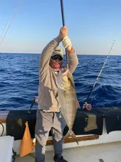 2024 Carolina Beach Fishing Photo - Wild Rover III