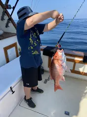 2024 Carolina Beach Fishing Photo - Wild Rover III