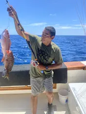2024 Carolina Beach Fishing Photo - Wild Rover III